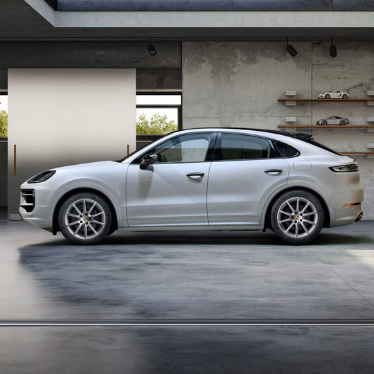 20" Cayenne E3 II "Cayenne Design" winter set - Silver