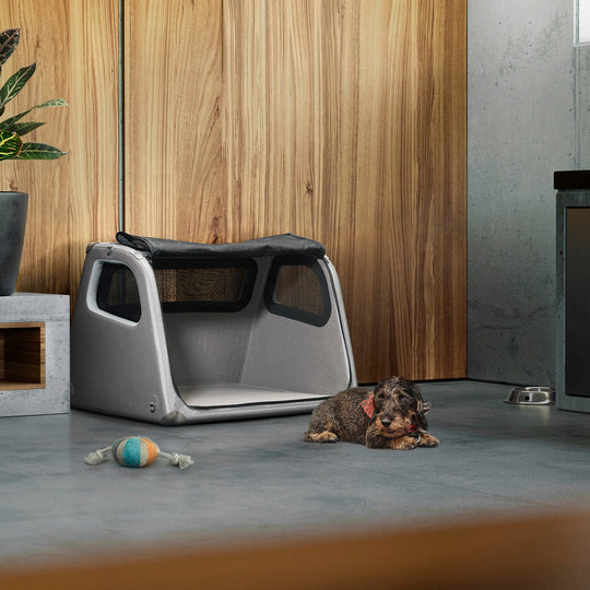 Porsche Inflatable Trunk Box For Dogs - Dog Bed