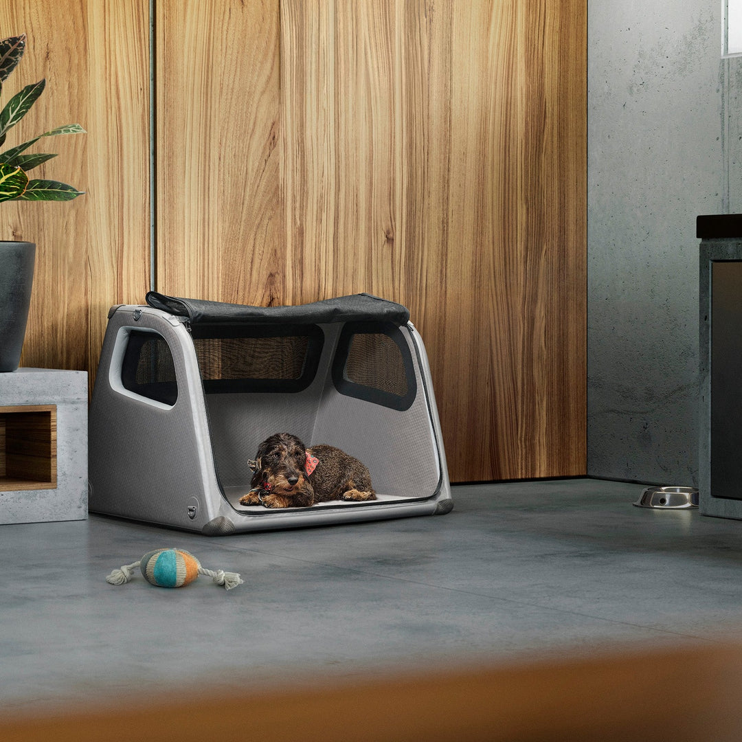 Porsche Inflatable Trunk Box For Dogs - Dog Bed