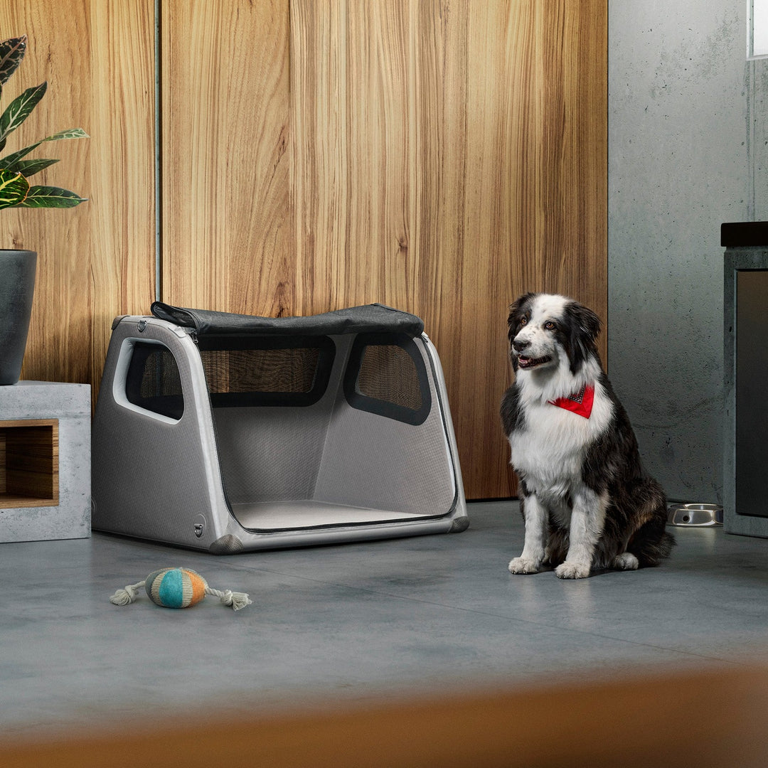 Porsche Inflatable Trunk Box For Dogs - Dog Bed